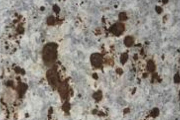 AG贵宾会·(中国游)集团首页