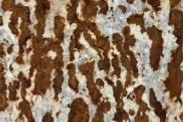 AG贵宾会·(中国游)集团首页