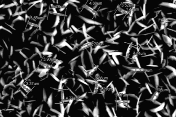 AG贵宾会·(中国游)集团首页