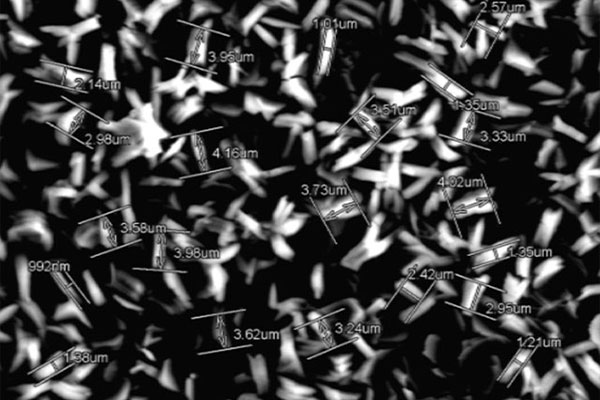 AG贵宾会·(中国游)集团首页